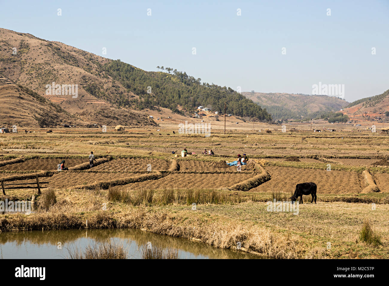Le persone che lavorano nei campi tra Mawsynram a Shillong, Meghalaya, India Foto Stock
