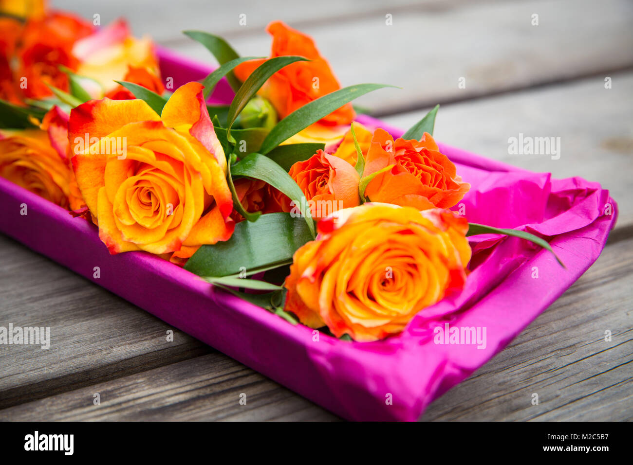 Arancione Rosa boutonnieres su carta velina, close-up Foto Stock