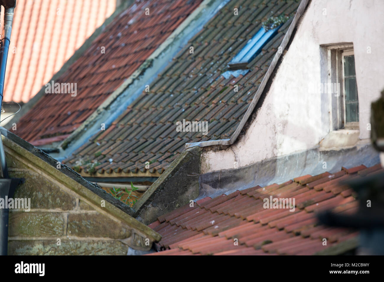 Fino chiudere la vista dei tetti stipati, Robin cappe Bay, Yorkshire, Regno Unito Foto Stock