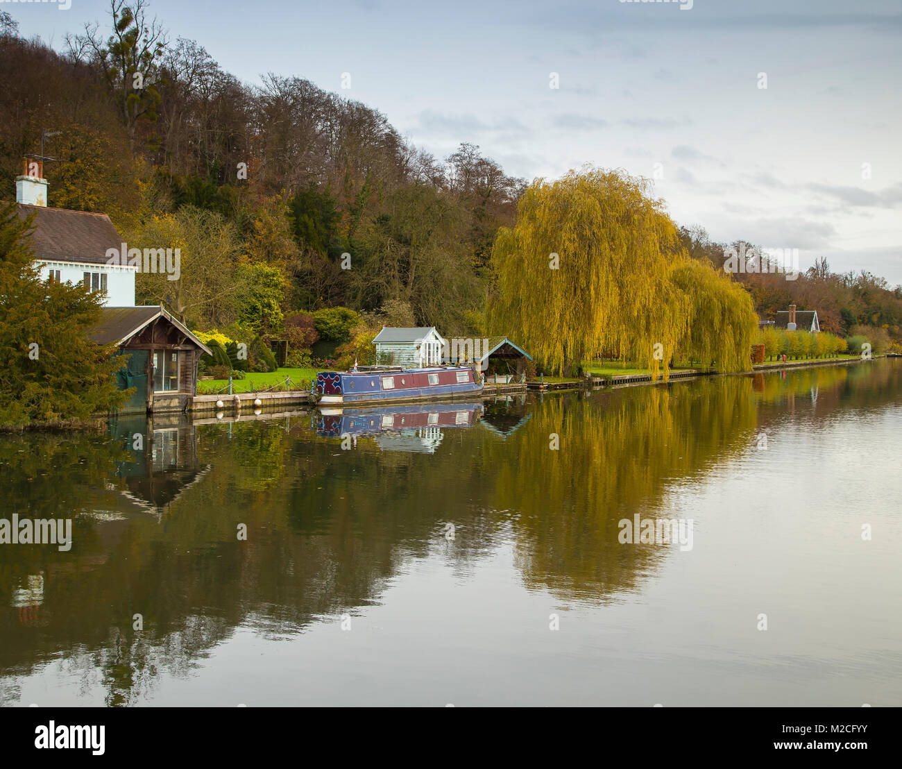 Un bel salice piangente albero catturato da un boathouse sul fiume Tamigi, Henley-on-Thames, Oxfordshire, England, Regno Unito Foto Stock