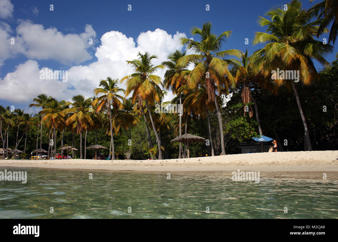 Luna di miele sulla spiaggia di acqua isola al largo della costa di San Tommaso, U.S. Isole Vergini, è fiancheggiata da palme e limpide acque poco profonde. Foto Stock