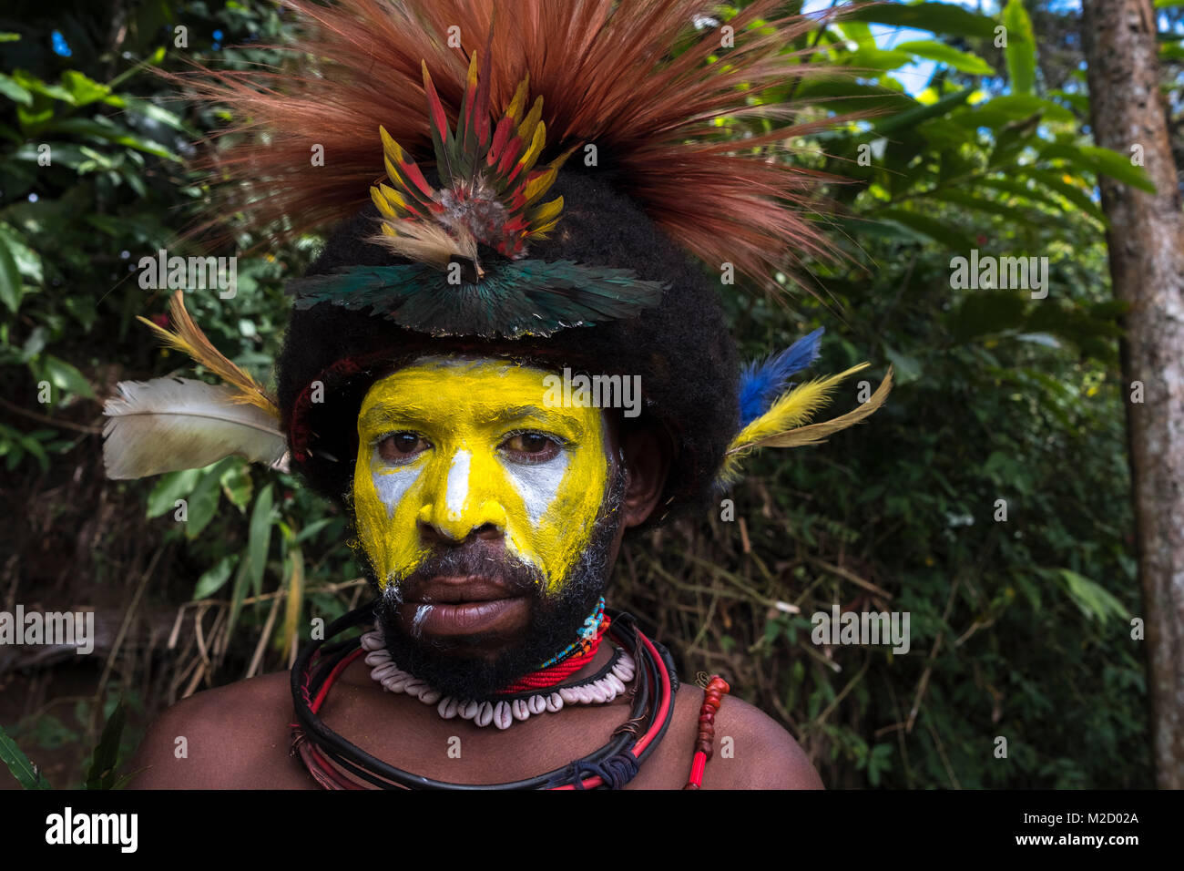 Un Huli Wigman dipinto e vestito per la Mount Hagen Spettacolo Culturale in Papua Nuova Guinea Foto Stock