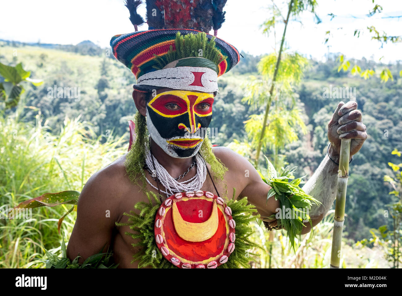 Un tribesman dipinto e vestito per la Mount Hagen Spettacolo Culturale in Papua Nuova Guinea Foto Stock