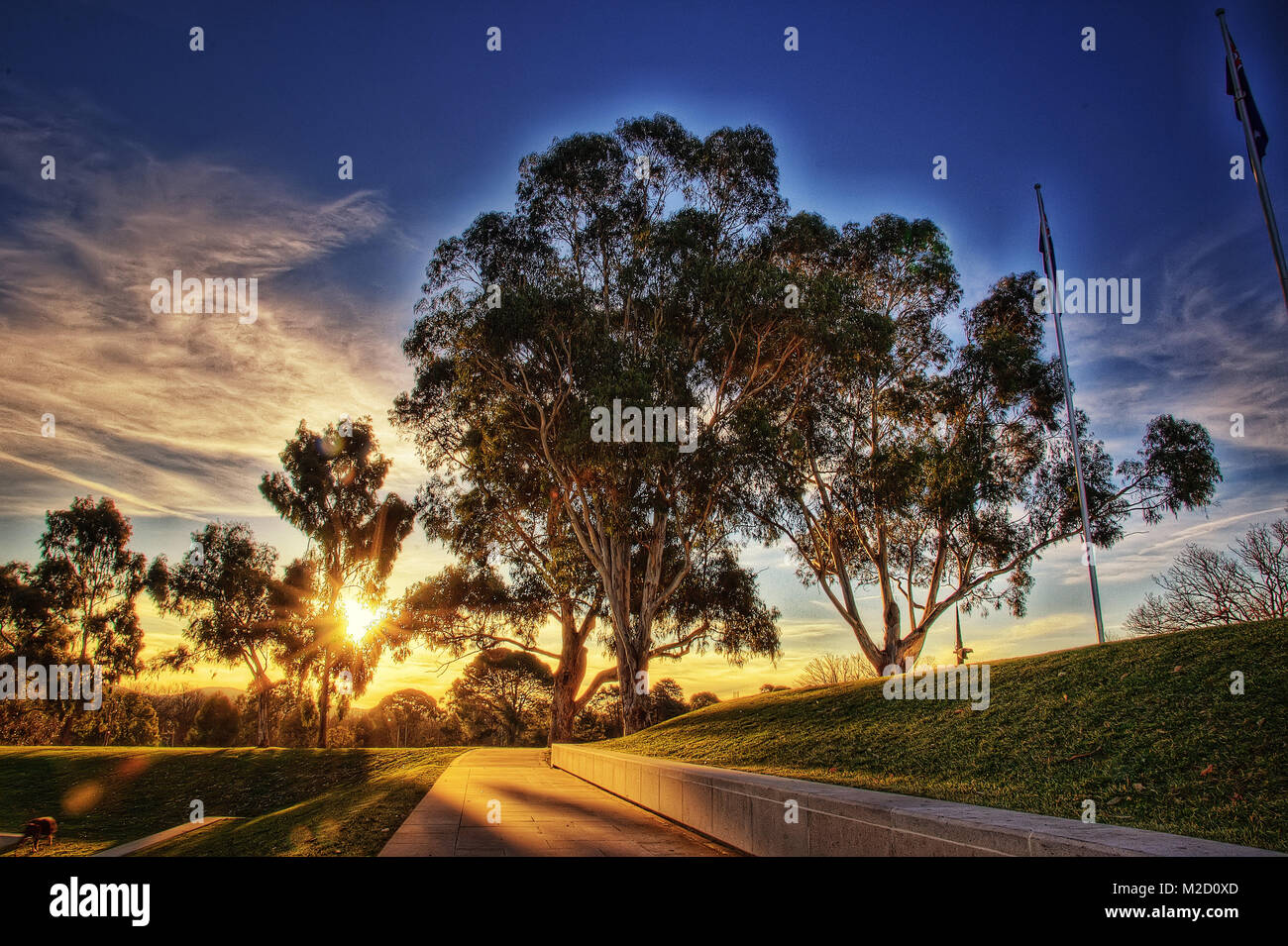 Struttura di Canberra, Australia adottate nel 2015 Foto Stock