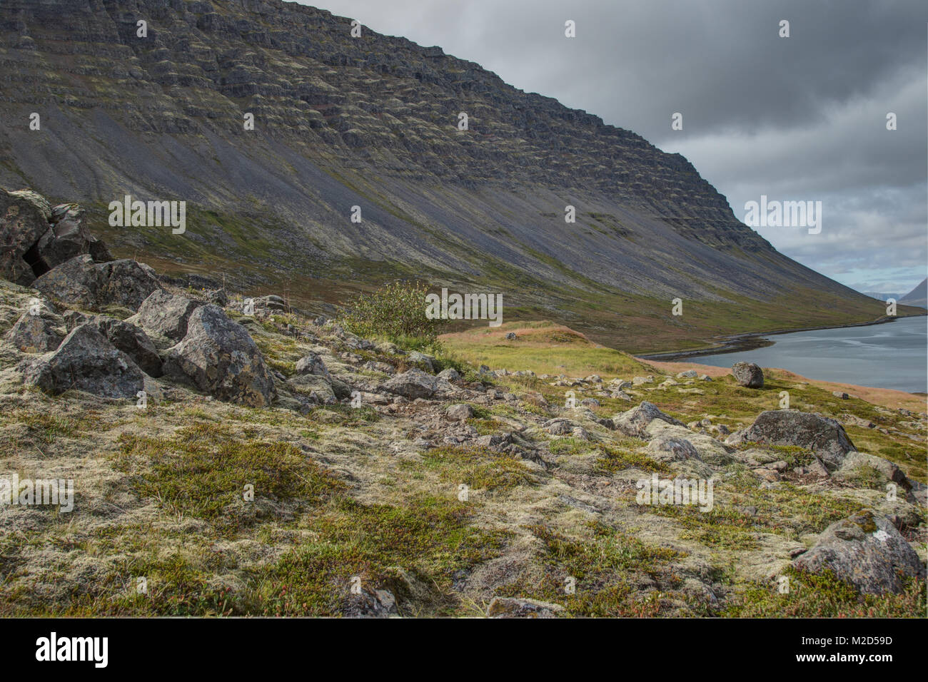 Scenic Area Westfjords Foto Stock