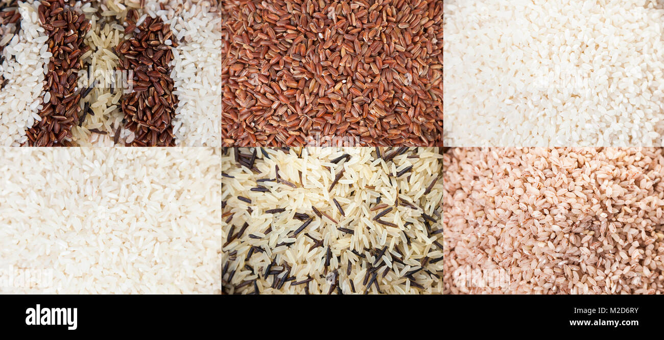 Set di diversi tipi di riso close-up, sfondo. Ingrediente per una dieta sana. Foto Stock