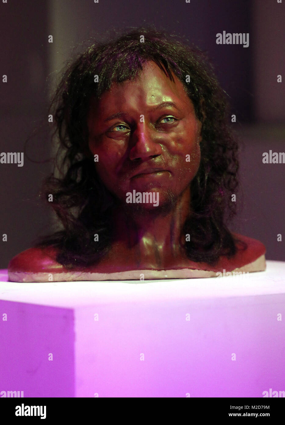 Viso completo modello di ricostruzione di una testa sulla base del cranio di Gran Bretagna il più antico scheletro completo sul display durante un evento di screening del primo Brit: i segreti del 10.000 Anno Vecchio presso il Museo di Storia Naturale di Londra. Foto Stock