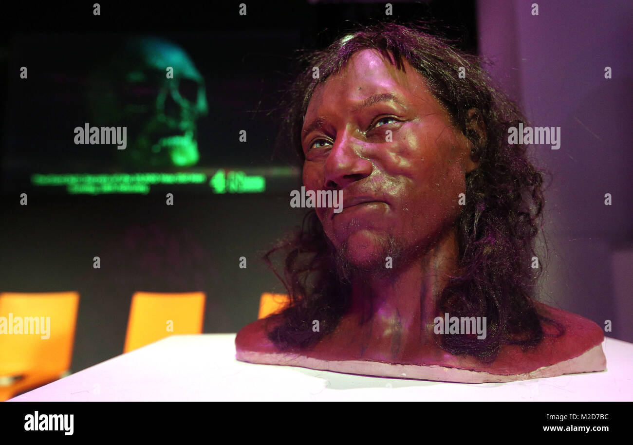 Viso completo modello di ricostruzione di una testa sulla base del cranio di Gran Bretagna il più antico scheletro completo sul display durante un evento di screening del primo Brit: i segreti del 10.000 Anno Vecchio presso il Museo di Storia Naturale di Londra. Foto Stock