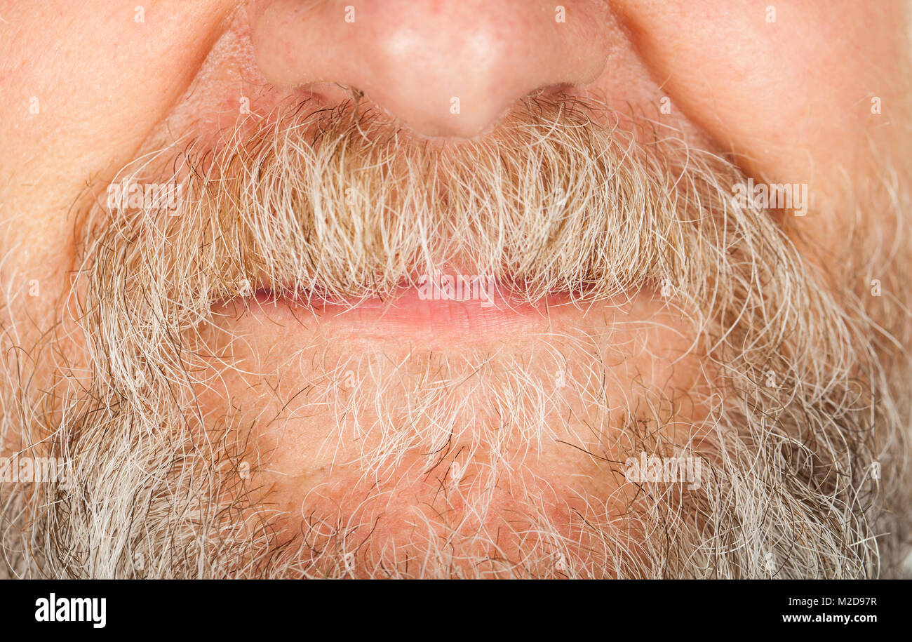Chiudere l immagine dell uomo senior grigio della barba e baffi sui labbri Foto Stock