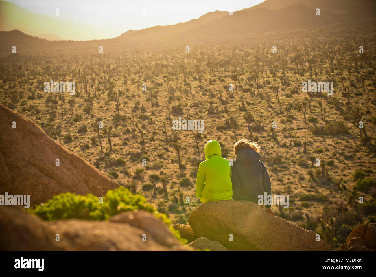 Ragazzo seduto sulla roccia ammirando il paesaggio del deserto Foto Stock