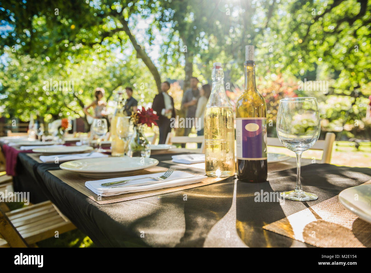 Le bottiglie di vino sul tavolo al party all'aperto Foto Stock