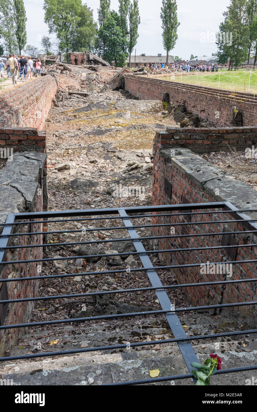 Resti della camera a gas, concentrazione di Birkenau Camp, Polonia Foto Stock