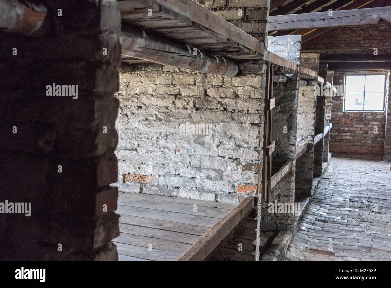 In legno di cellule a pelo, Birkenau Campo di Concentramento, Polonia Foto Stock