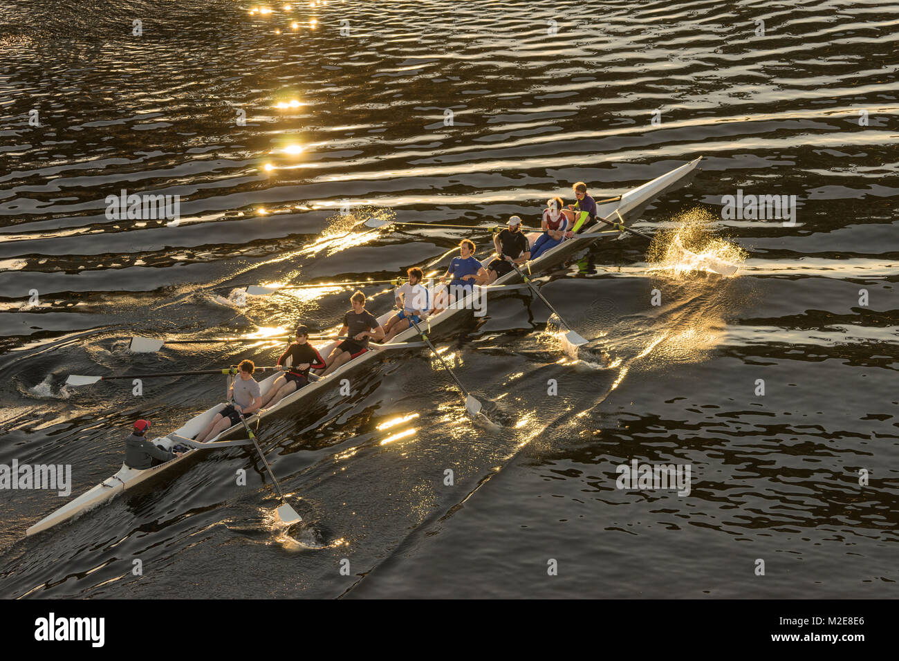 Stati Uniti, Washington, Seattle, Racing shell sul Lago Union Foto Stock