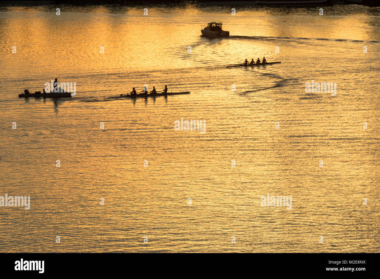 Stati Uniti, Washington, Seattle, schells canottaggio sul Lago di unione con pullman nel seguente powerboat Foto Stock