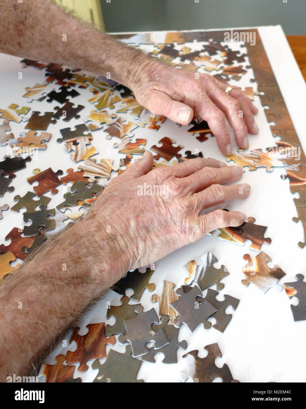 Un anziano, o uomo anziano con demenza funziona un puzzle di affinare la sua capacità mentali. Oklahoma, Stati Uniti d'America. Foto Stock