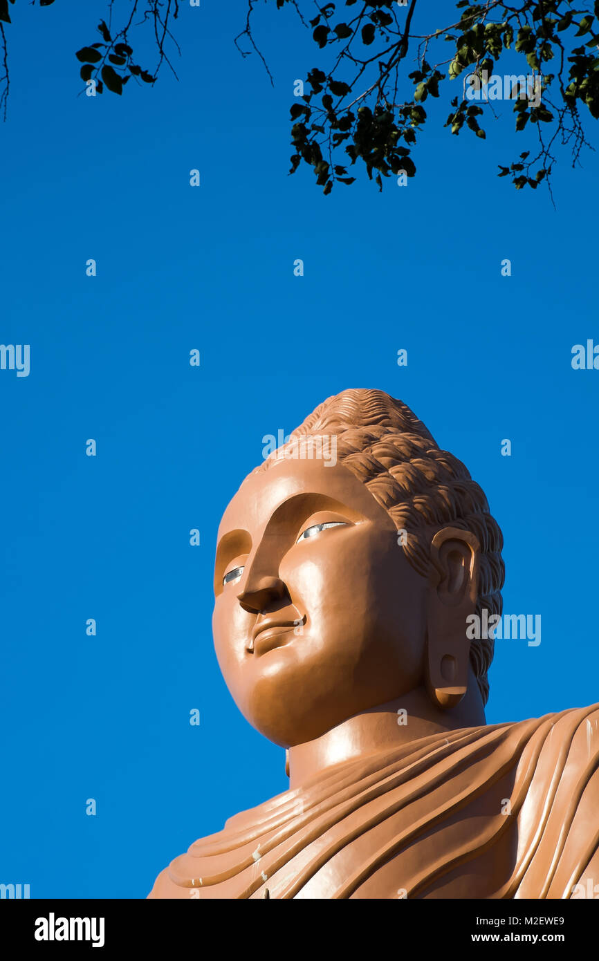 Testa di Buddha, Kanchanaburi Thailandia Foto Stock