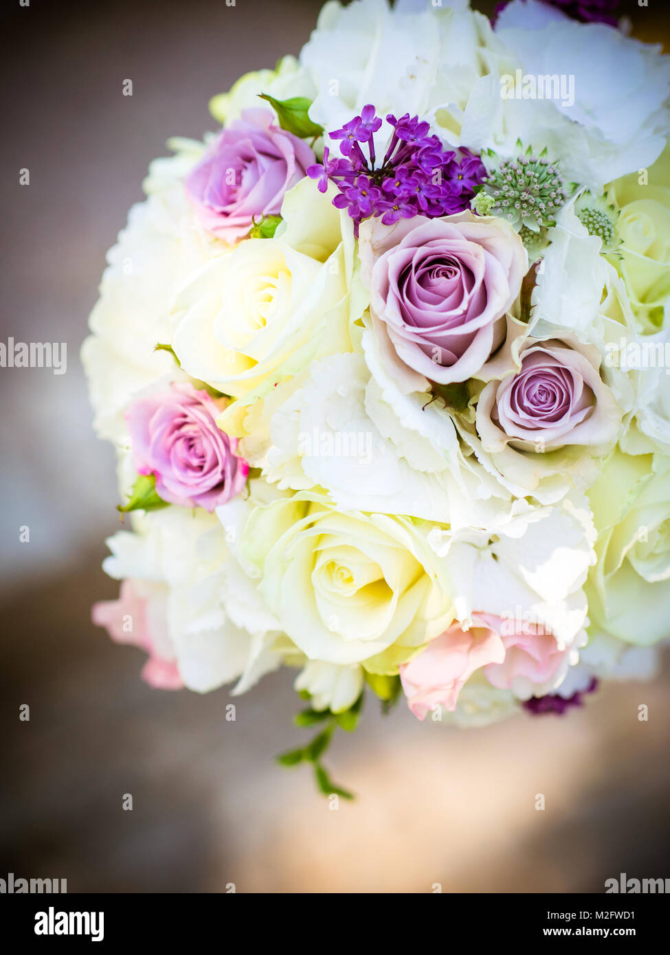 Bouquet della sposa con il bianco e il Rosa Rose Foto Stock