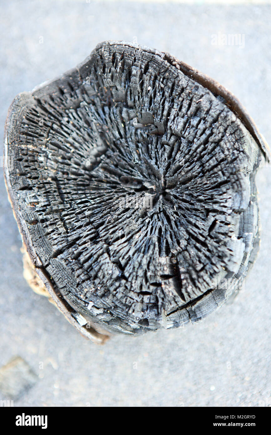 Carbonizzati log in legno Foto Stock
