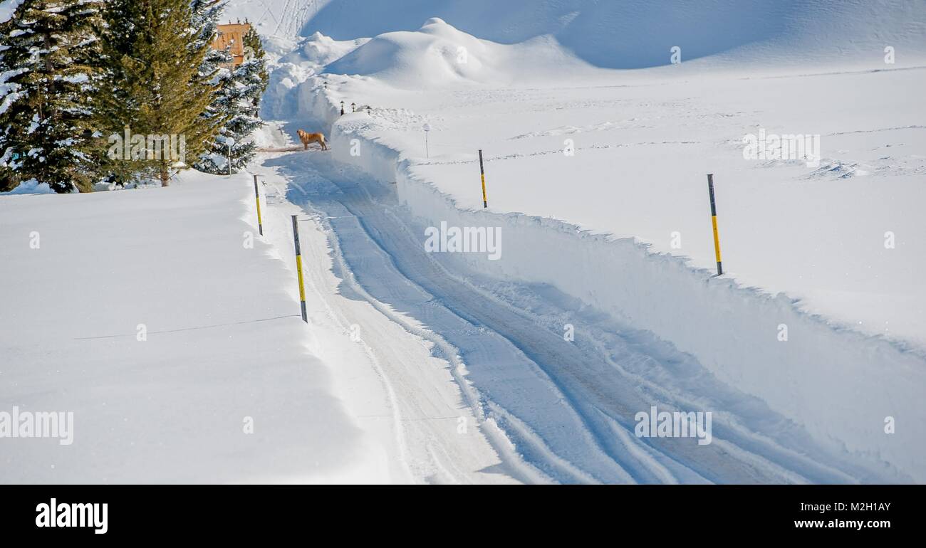 Strada liberata dalla forte nevicata Foto Stock