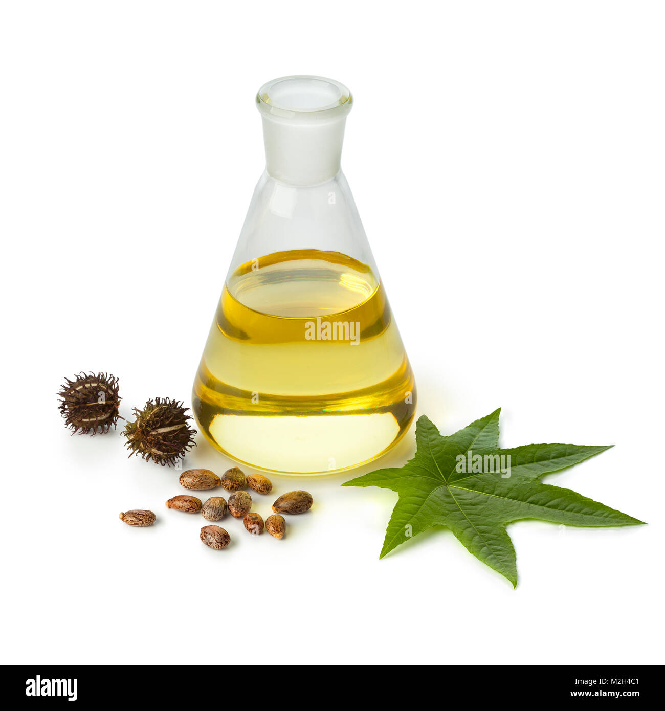 Botlle olio di ricino con frutta, semi e foglie isolati su sfondo bianco Foto Stock