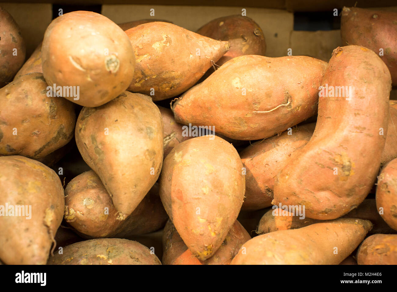 Patate dolci in vendita in un supermercato Foto Stock