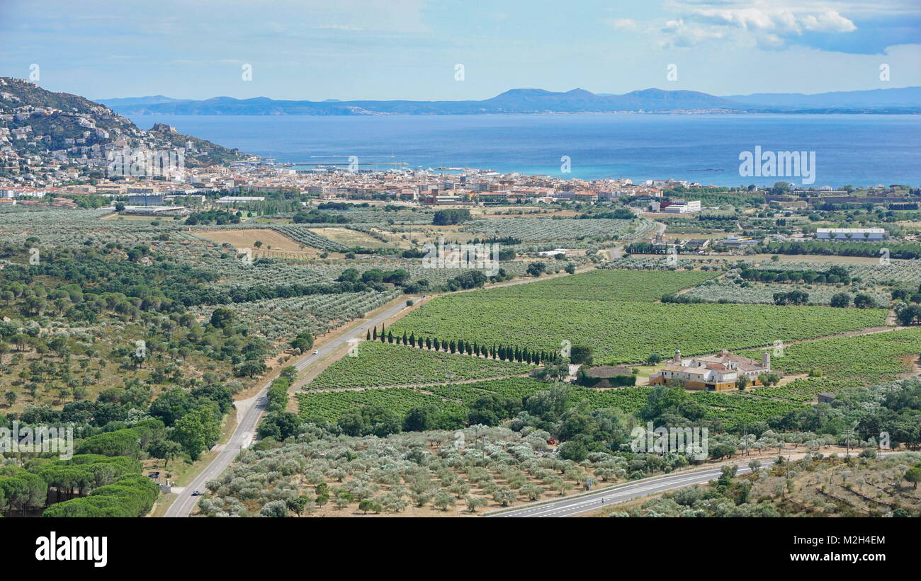 Spagna costa brava vista sui campi di vigneti e oliveti con il mar Mediterraneo e la città di Roses, Girona, Catalogna, Alt Emporda Foto Stock
