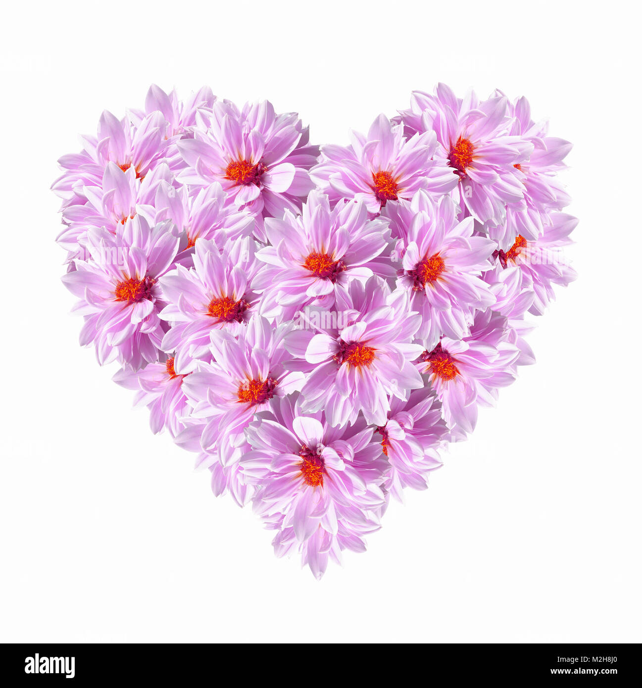 Forma di cuore di fiori di colore rosa su sfondo bianco Foto Stock