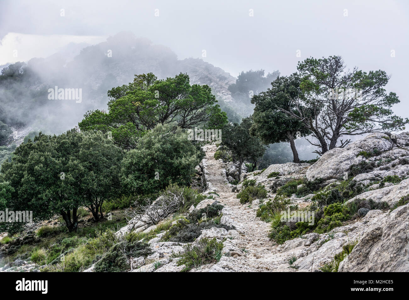 Wanderweg auf dem Gipfel der Sierra de Tramuntana auf Mallorca, Spanien, in der Nähe von Valldemossa Foto Stock