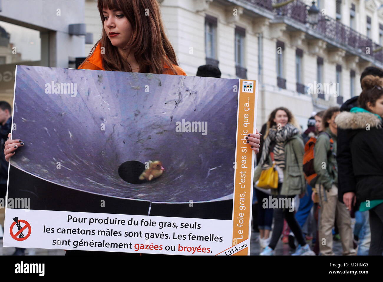 L214 attivisti vegan protesta contro il foie gras e forzare l'alimentazione delle oche, Lione, Francia Foto Stock
