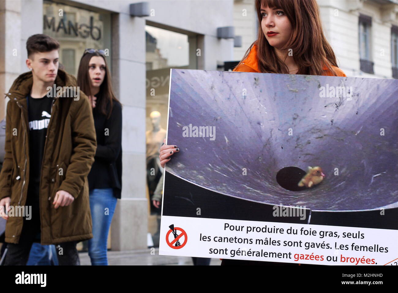 L214 attivisti vegan protesta contro il foie gras e forzare l'alimentazione delle oche, Lione, Francia Foto Stock