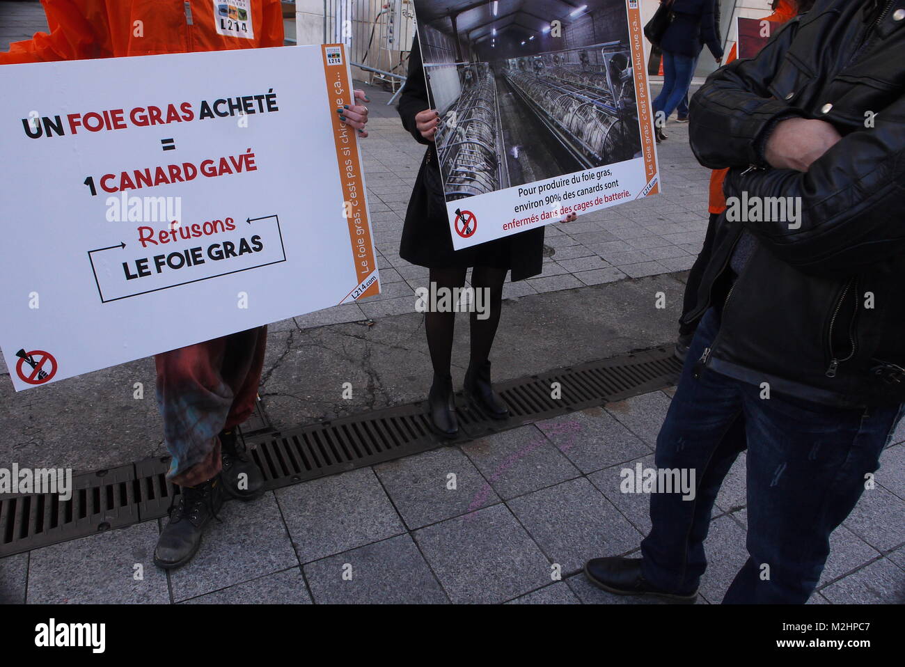 L214 attivisti vegan protesta contro il foie gras e forzare l'alimentazione delle oche, Lione, Francia Foto Stock