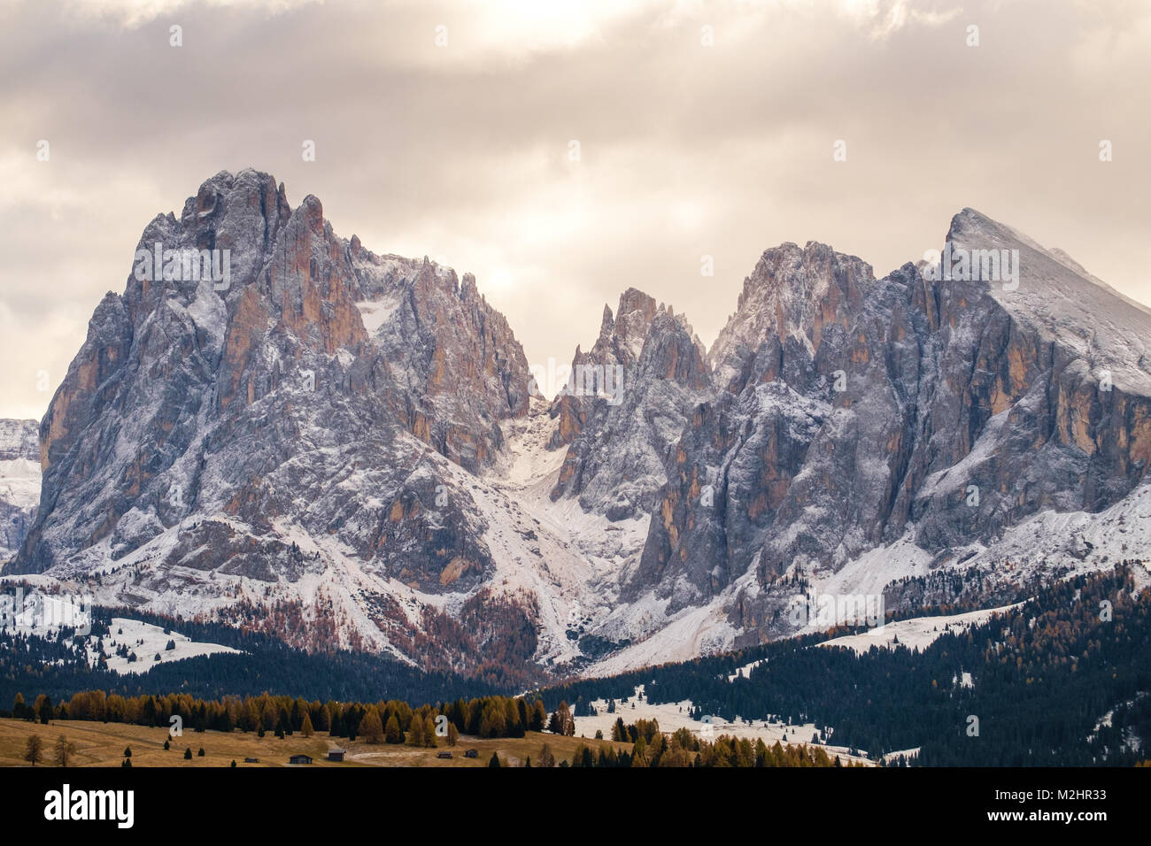Alpe di Siusi con il Gruppo del Sasso Lungo dopo l'alba, Alto Adige, Italia Foto Stock