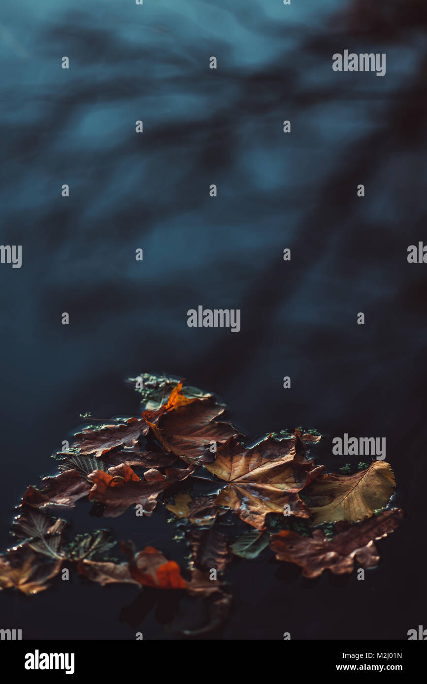Autunno tardo autunno riflessi nell'acqua fare per moody abstract background. Foto Stock