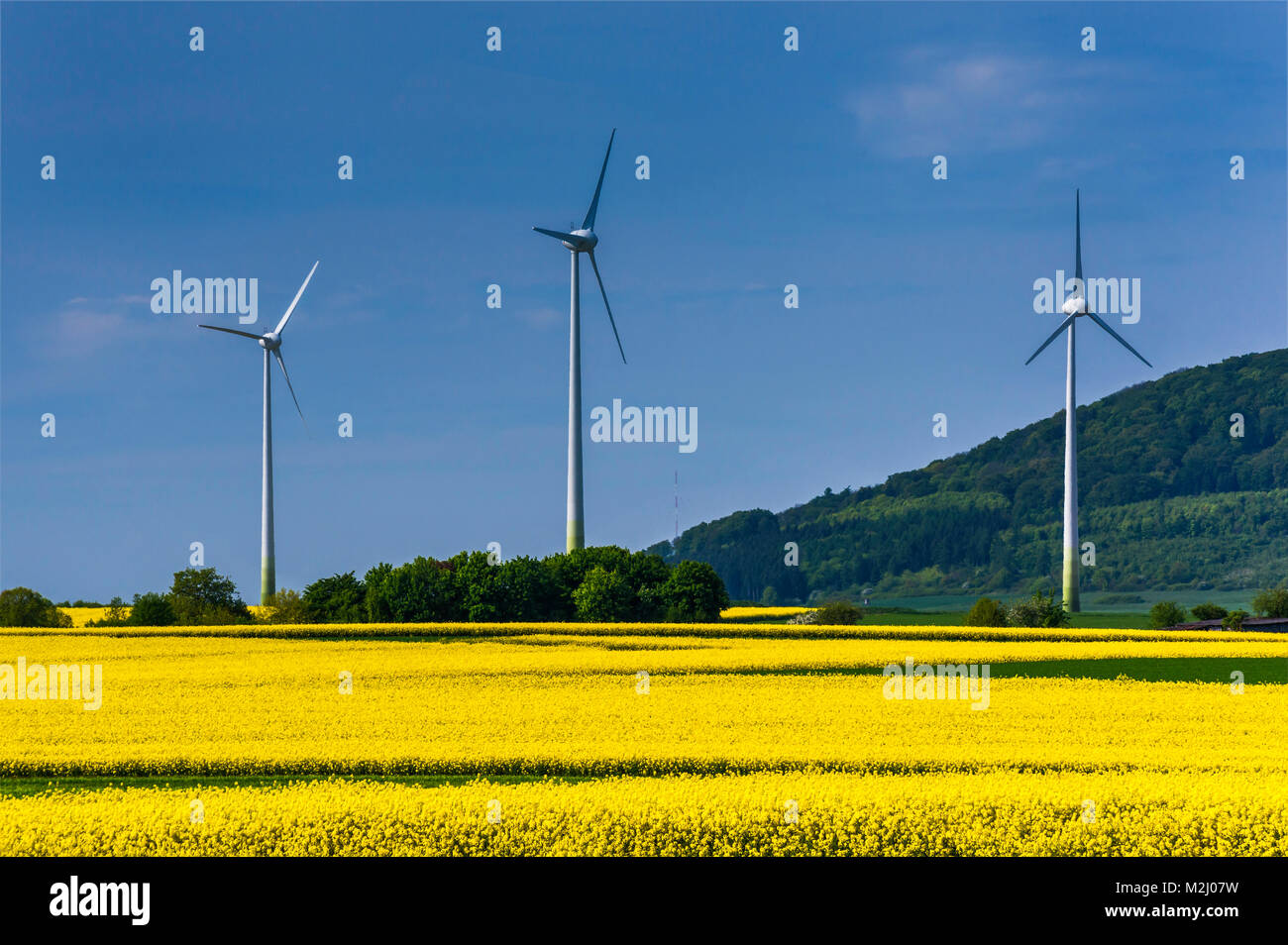 Le turbine eoliche in campo di canola aka della colza in fioritura, vicino a Naumburg, Waldeck regione Hessen, Germania Foto Stock
