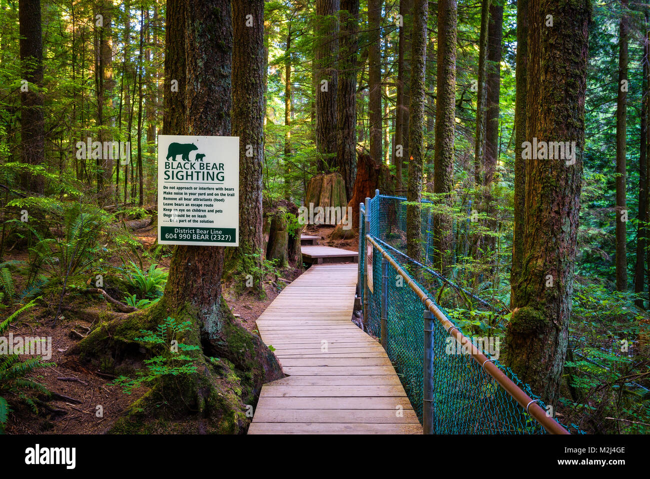 Black Bear avvistamento segno di avvertimento Foto Stock