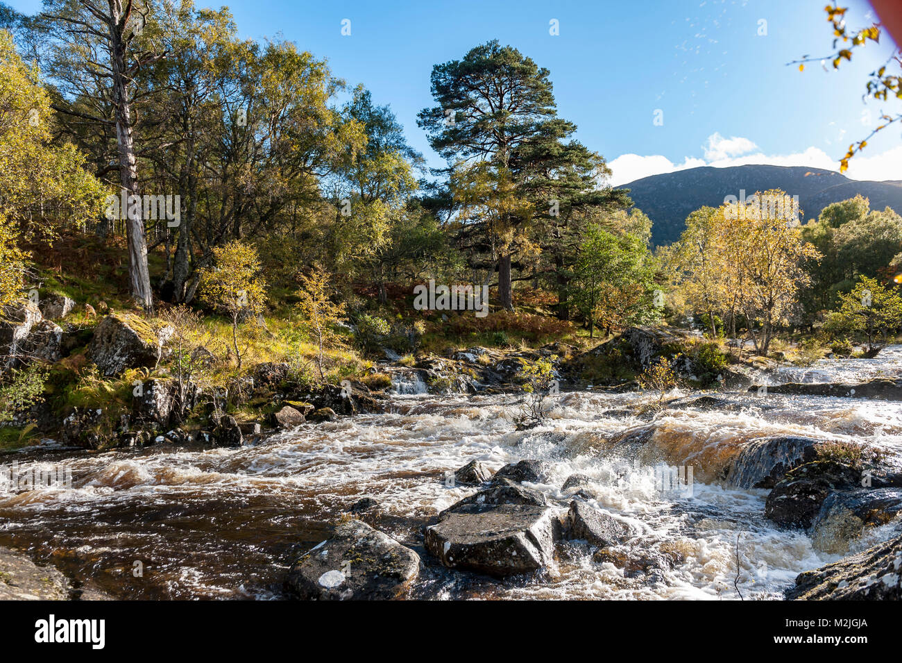 La bellezza della Scozia fiumi cane cade in Glen Affric Highlands scozzesi Foto Stock