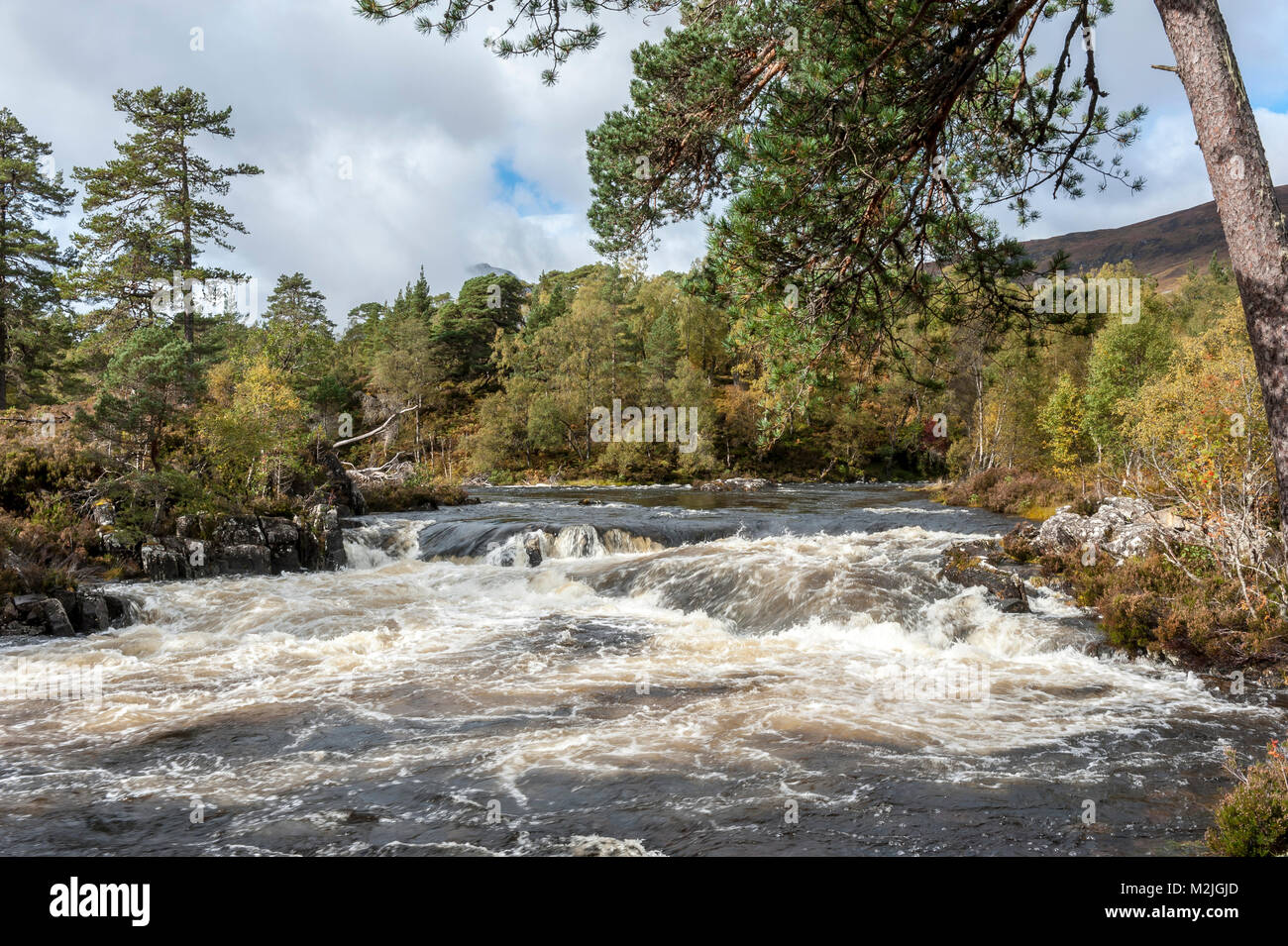 La bellezza della Scozia fiumi cane cade Glen Affric nelle Highlands scozzesi Foto Stock