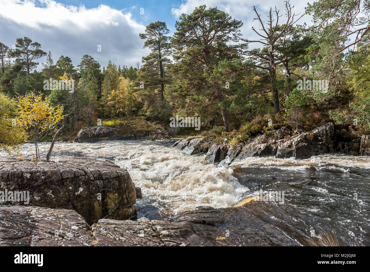 La bellezza della Scozia fiumi cane cade nelle Highlands scozzesi Foto Stock