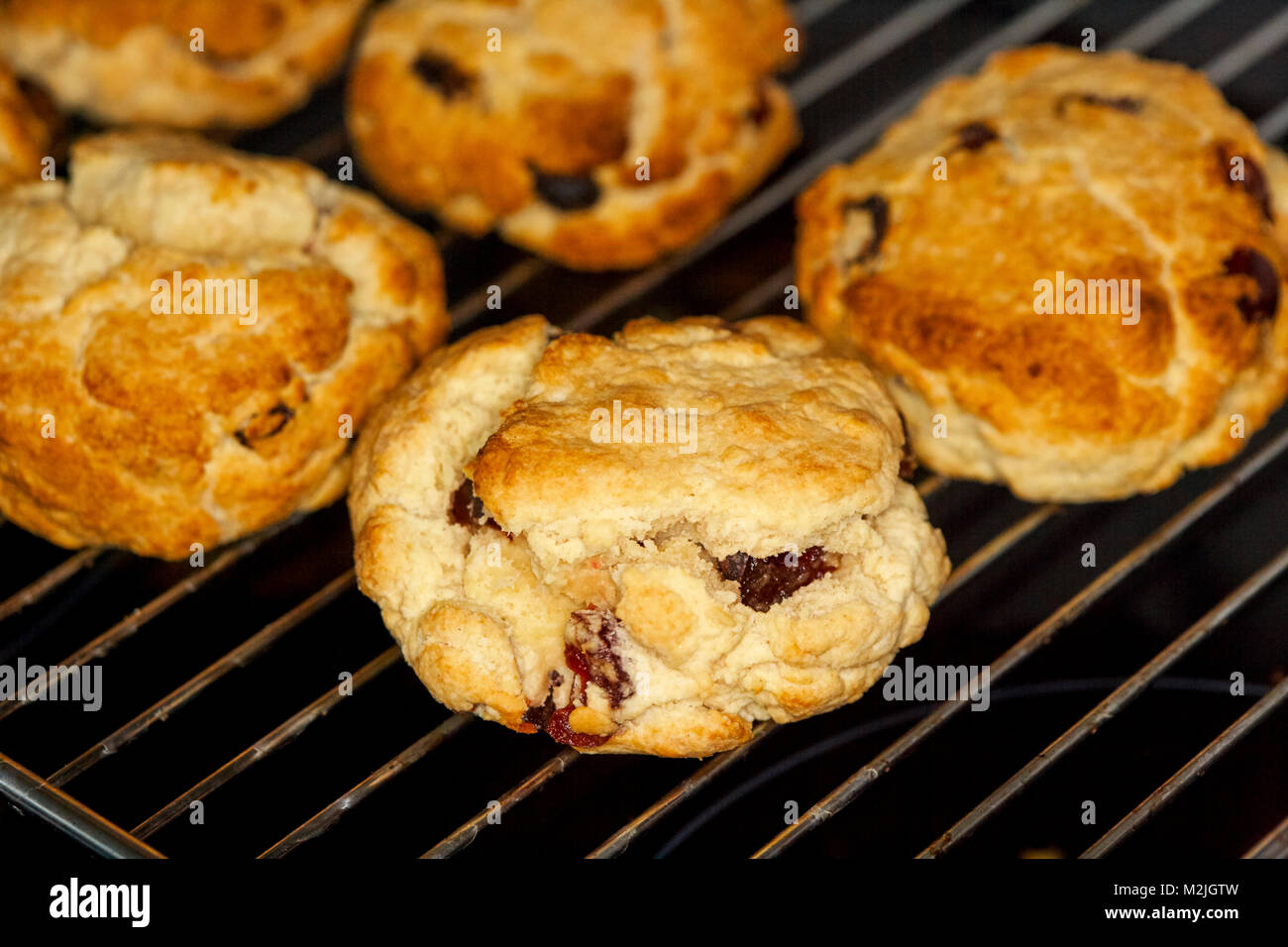 Fatto in casa scones frutta noto come rock torte raffreddare su una griglia dopo la cottura Foto Stock