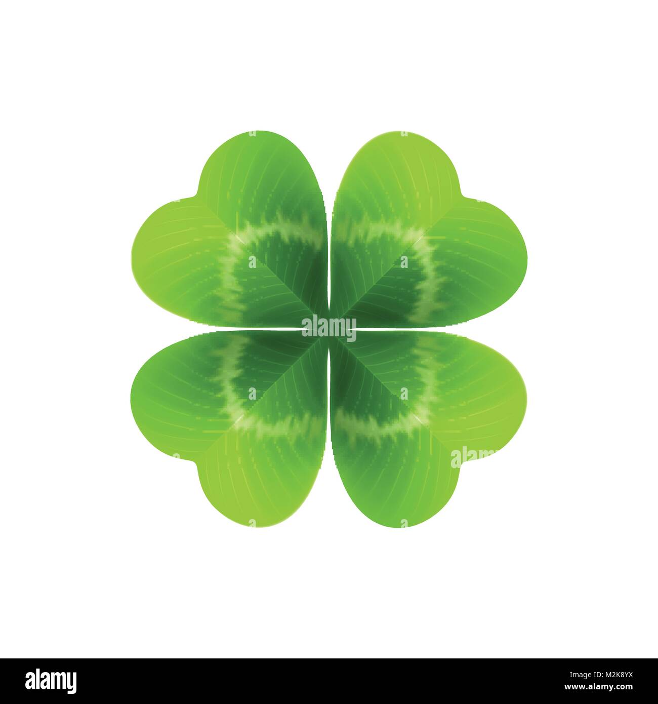 Quattro leaf clover isolato su bianco. Illustrazione Vettoriale Illustrazione Vettoriale