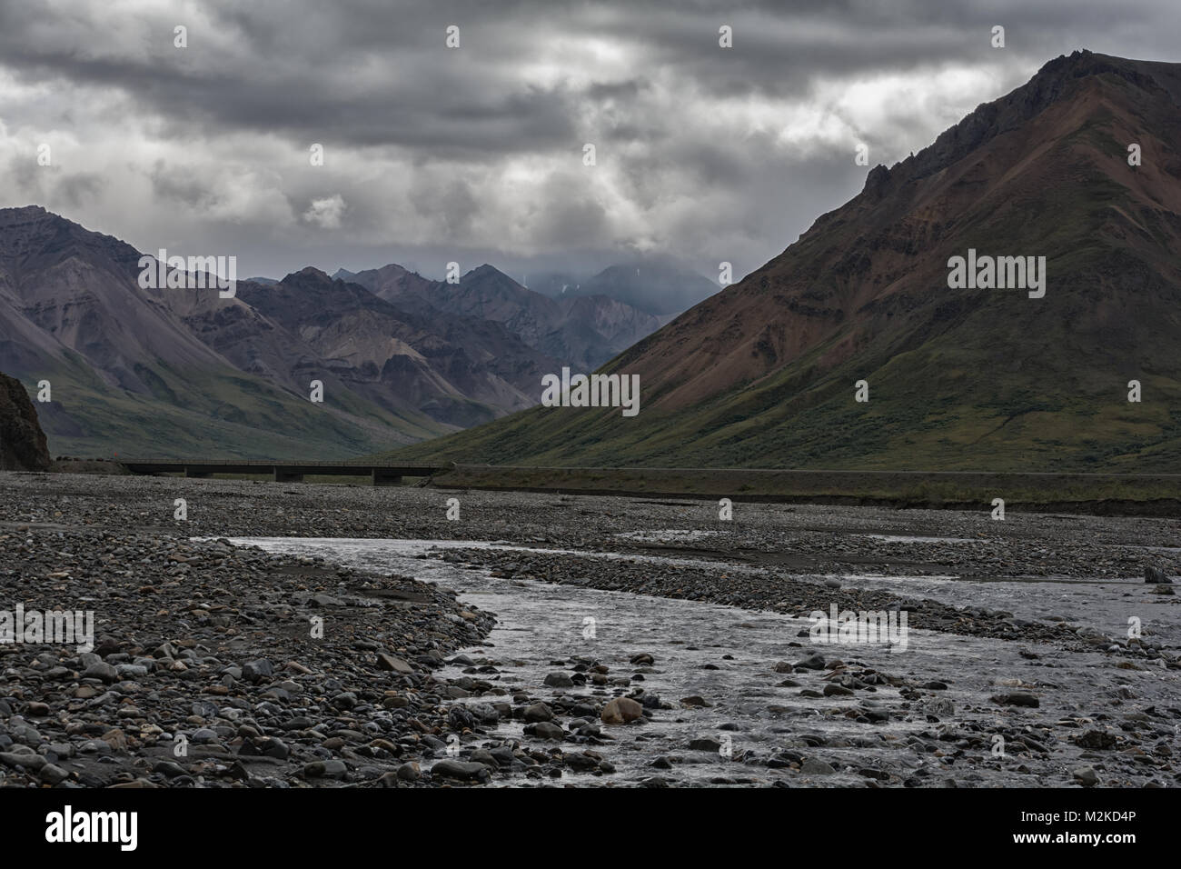 Acqua che scorre verso il basso un intrecciato canale del fiume scorre attraverso la Toklat Appartamenti a metà del Parco Nazionale di Denali carreggiata. Foto Stock