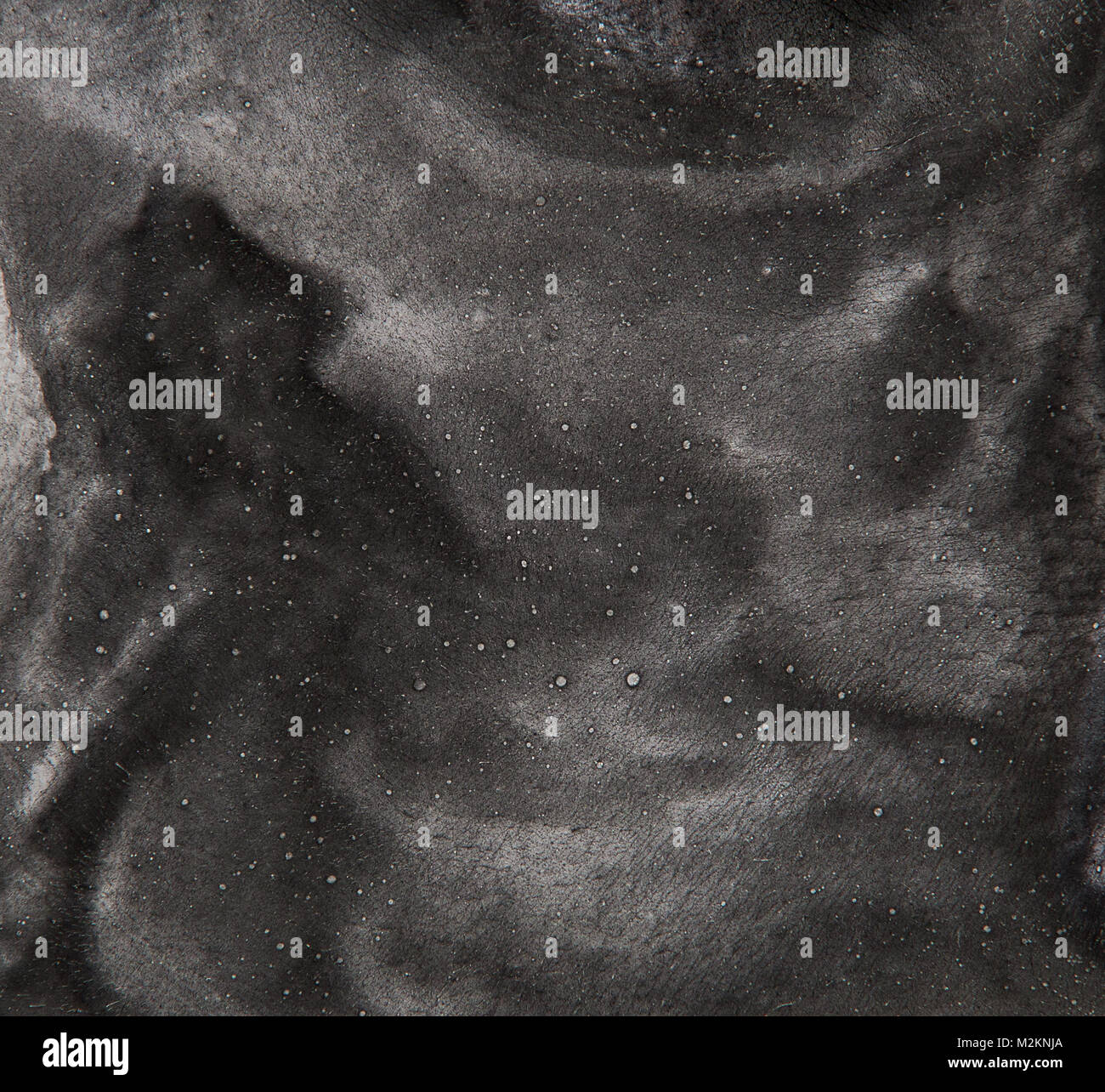 Pelabile di maschera dopo la detersione cutanea. La consistenza della buccia nero-off maschera con acne bianco dopo la pulizia del viso. Peel-off Mask close-up. Foto Stock