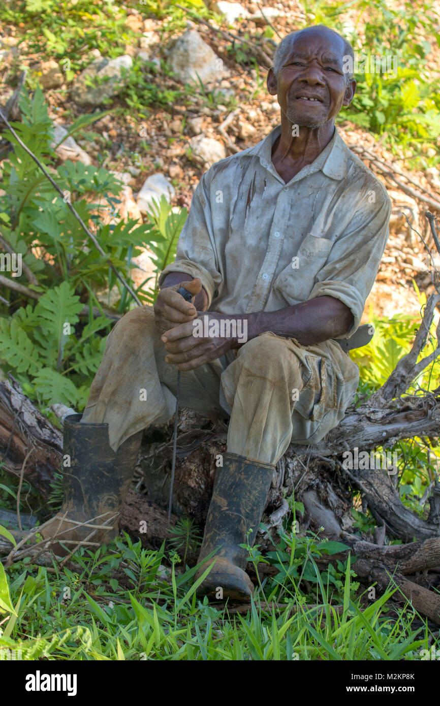 Fratello 'D' giamaicano di terza età cowboy, parrocchia di Manchester, Giamaica,West Indies, dei Caraibi Foto Stock