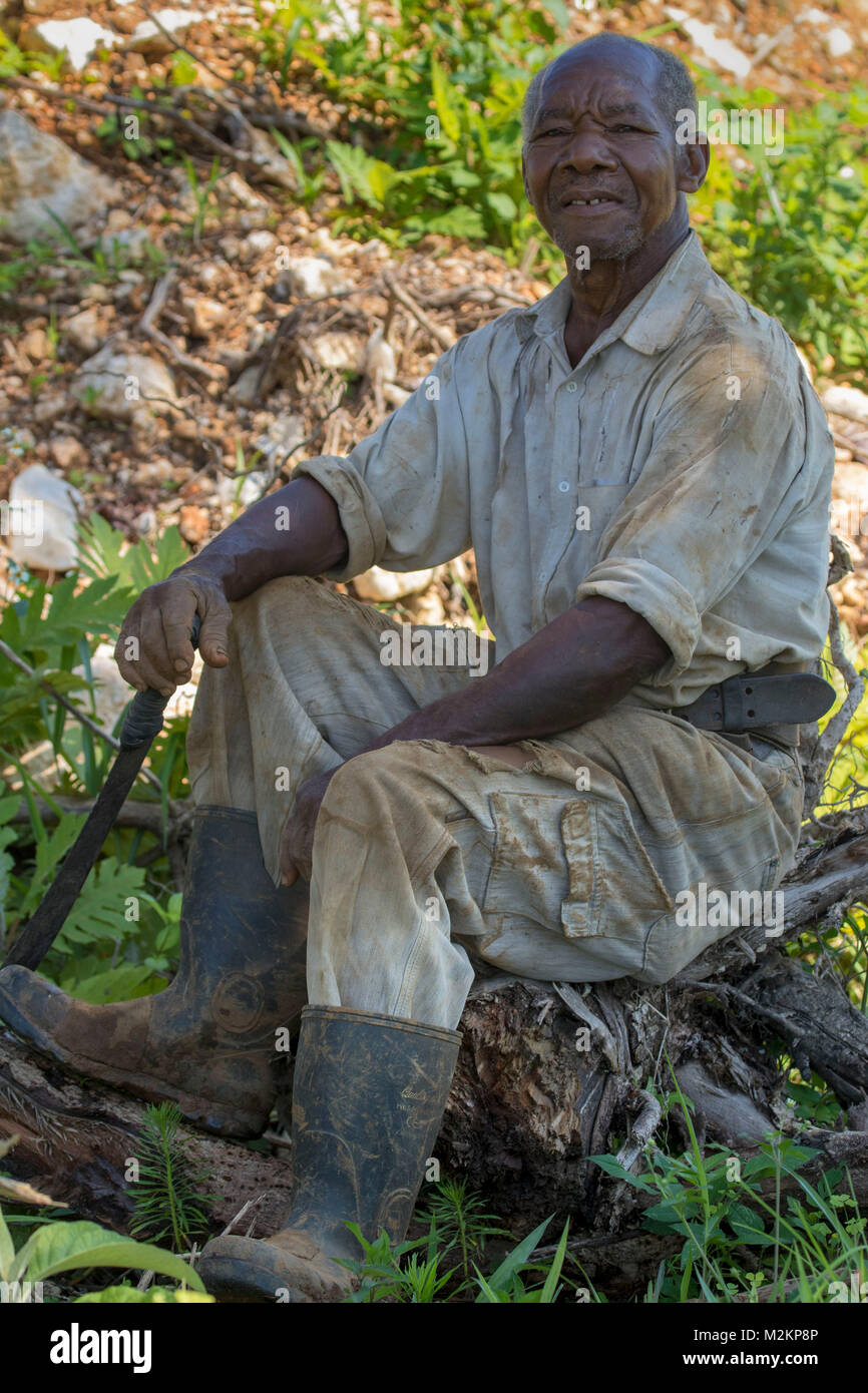 Fratello 'D' giamaicano di terza età cowboy, parrocchia di Manchester, Giamaica,West Indies, dei Caraibi Foto Stock