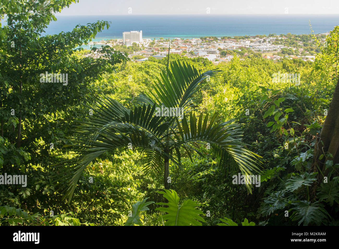 La vegetazione e il mare dei Caraibi dal Ysassis lookout point nel Il Coyaba Botanic Gardens, Ocho Rios, Giamaica, West Indies, dei Caraibi Foto Stock