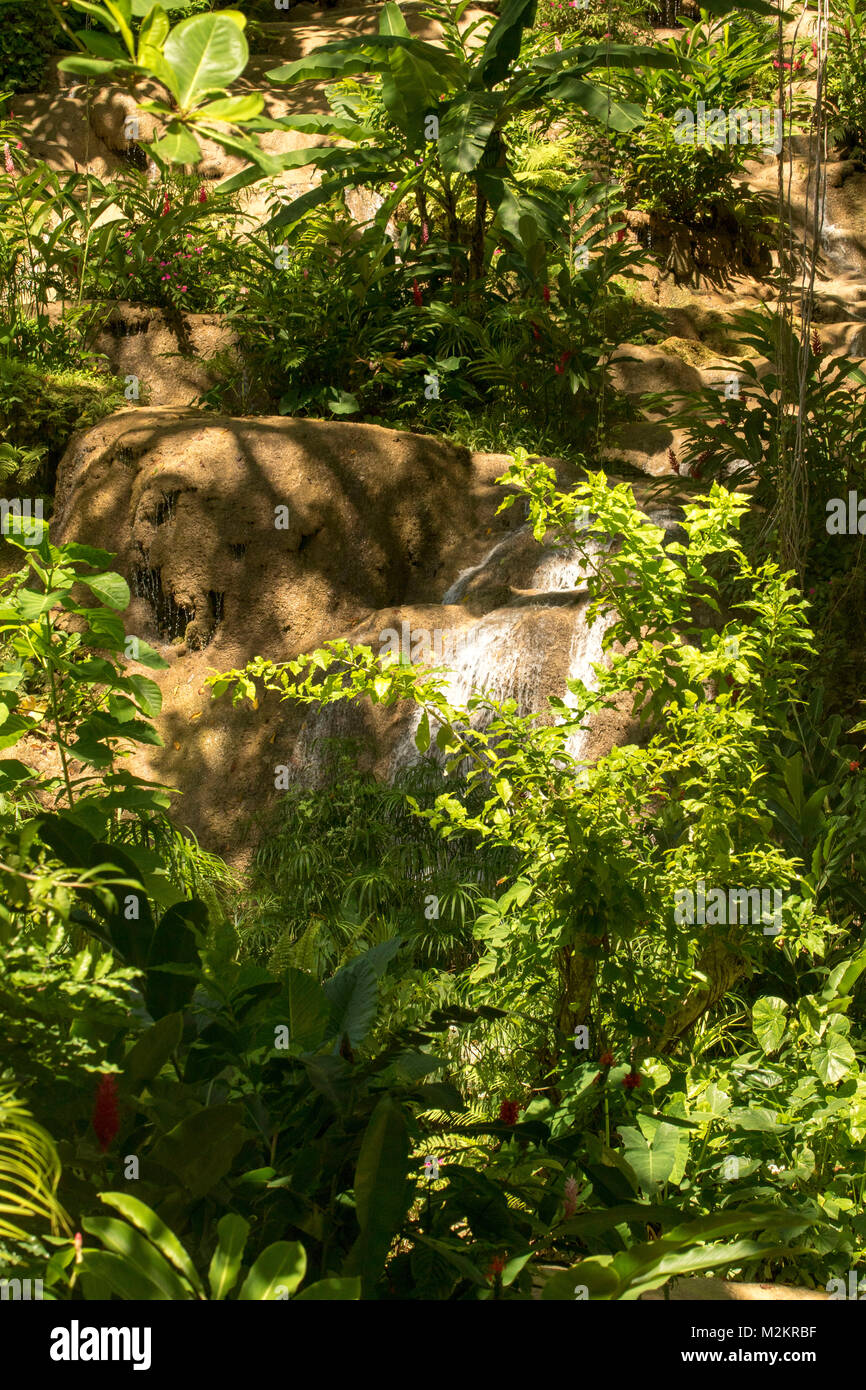 Il Coyaba cascata giardini tra la vegetazione, Ocho Rios, Giamaica, West Indies, dei Caraibi Foto Stock