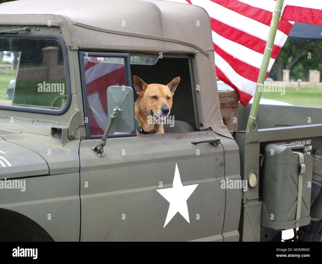 Un tipo di campionatore - OL6287773 Foto Stock