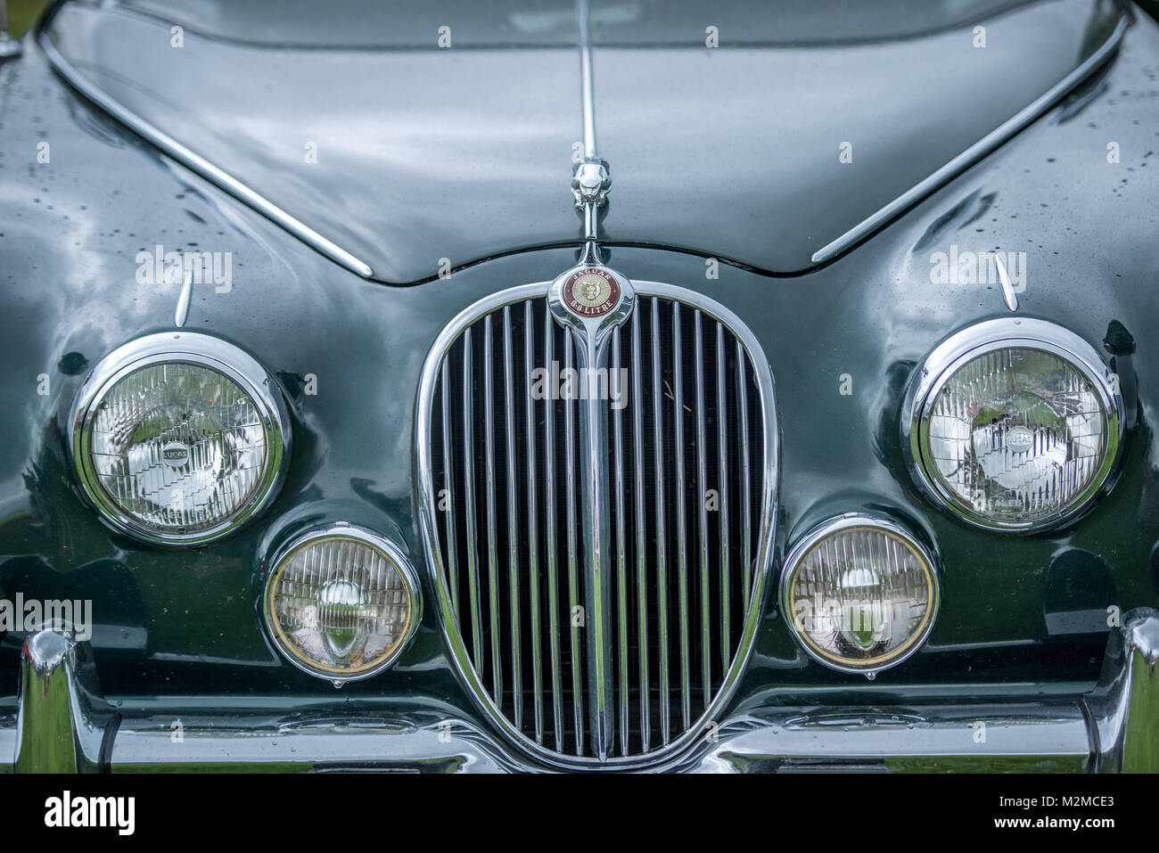 Close up sul cofano di vintage Jaguar veicolo, Masham, North Yorkshire, Regno Unito Foto Stock