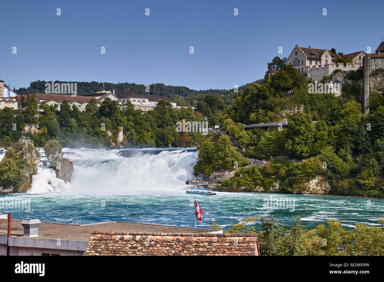 Rheinfall in estate, Svizzera Foto Stock